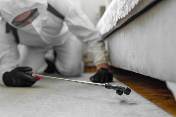 Professional Bed Bug Control technician working in Manahawkin, NJ