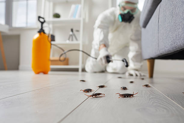 Trusted Rodent Control service in Manahawkin, NJ - Nex Pest Control